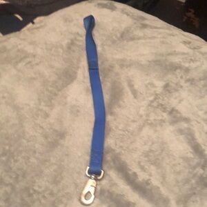 Blue dog leash nylon material